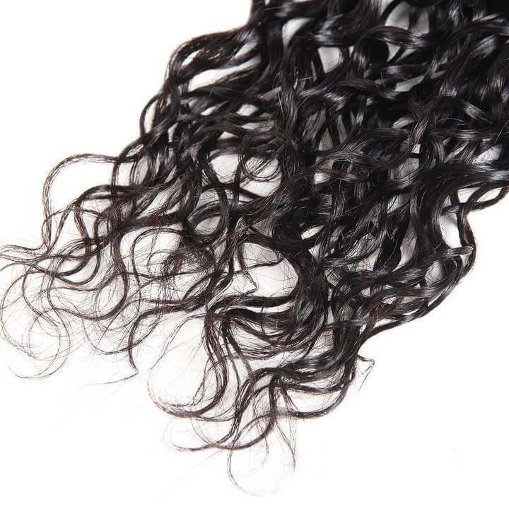Water Wave 4 Bundles with 4x4 Lace Closure Brazilian Unprocessed Virgin Human Hair 10A Grade